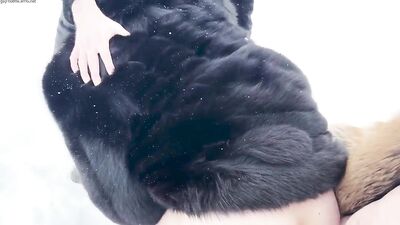 Snow Plowing - fan club