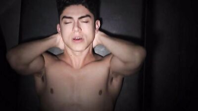 Stud Loads Vol 6 - Breeding Wall 720p