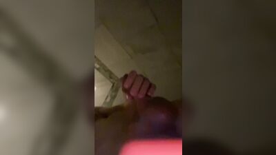 Palex - Fans Video Archive (37)