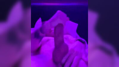 Palex - Fans Video Archive (93)