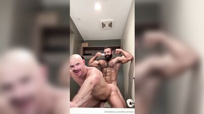 Fans - Patrick McDonald Persian wolf