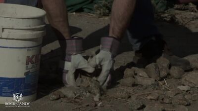 Rock Candy - Straight Boys Episode 4 - The Lazy Construction Worker - gay porn video