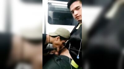 Gay Men Exhibition Clip (1248)