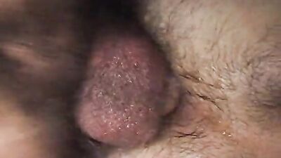 Gay Breeding (Discord Video) (257)