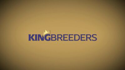 KingBreeders - Rocky Unleashed Vol 2 - The Bosss Son - gay porn