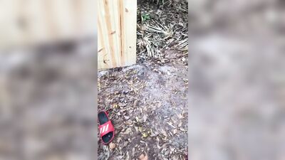 Fucked Raw In Front Of Crowd At Sawmill Camp Site