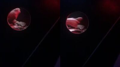 Gloryhole (Archives) (26)