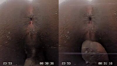 Shower Time (Gay Military Brother) (4)