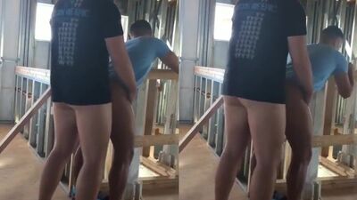 A Beautiful Breeding Pair (501) - gay porn